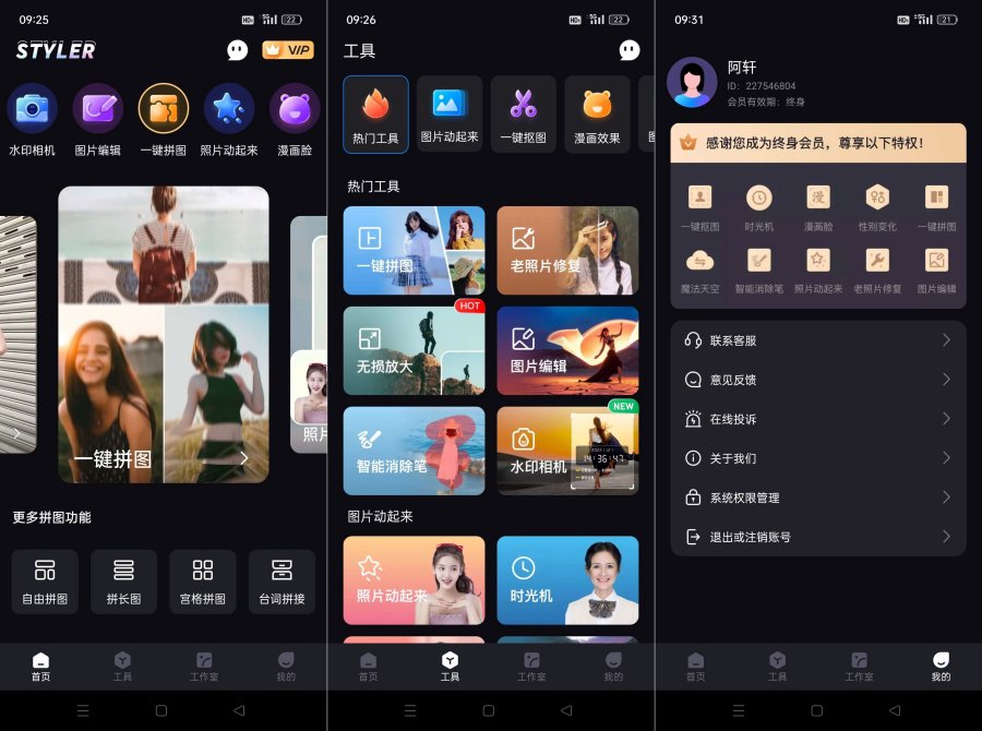 Styler超强AI换脸工具免登录!解锁终身会员