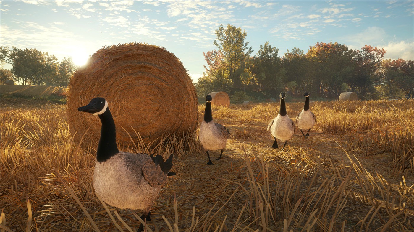 《猎人：野性的呼唤》v3263984中文版